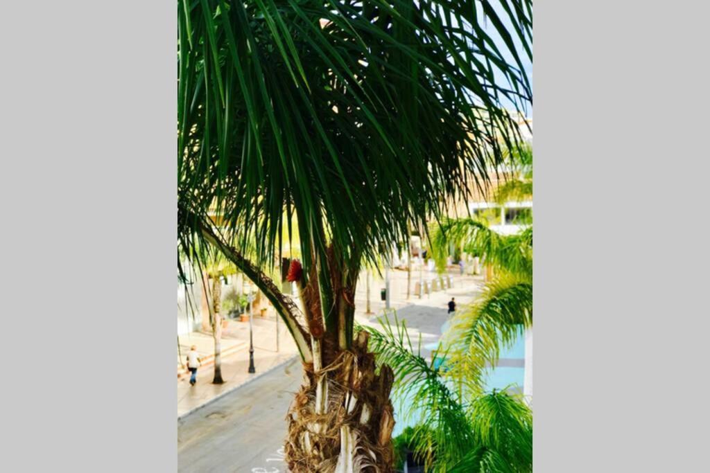 Begonia City Center Apartment 230 By Namaste Elite Torremolinos Esterno foto